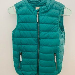 Abercrombie and Fitch Green/Blue Vest